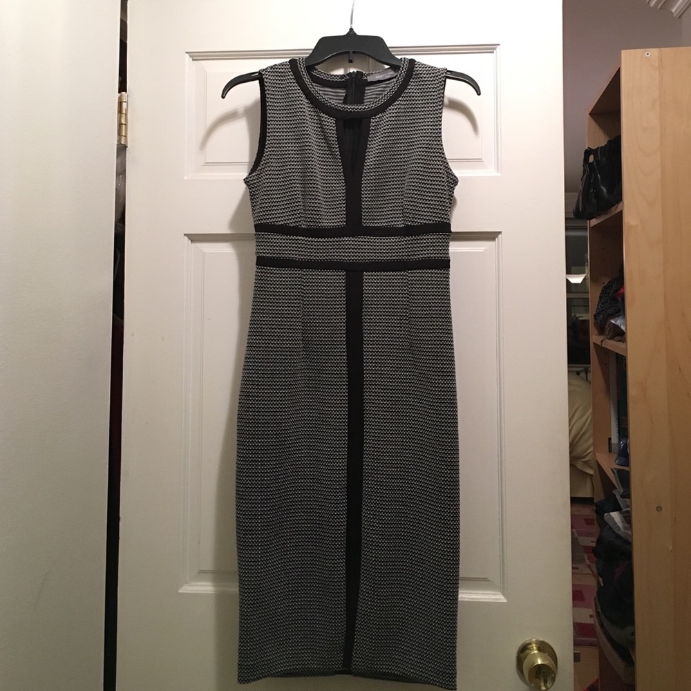 Stunning Sandro Ferrone Dress